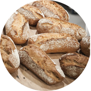 Stoer ovenvers brood